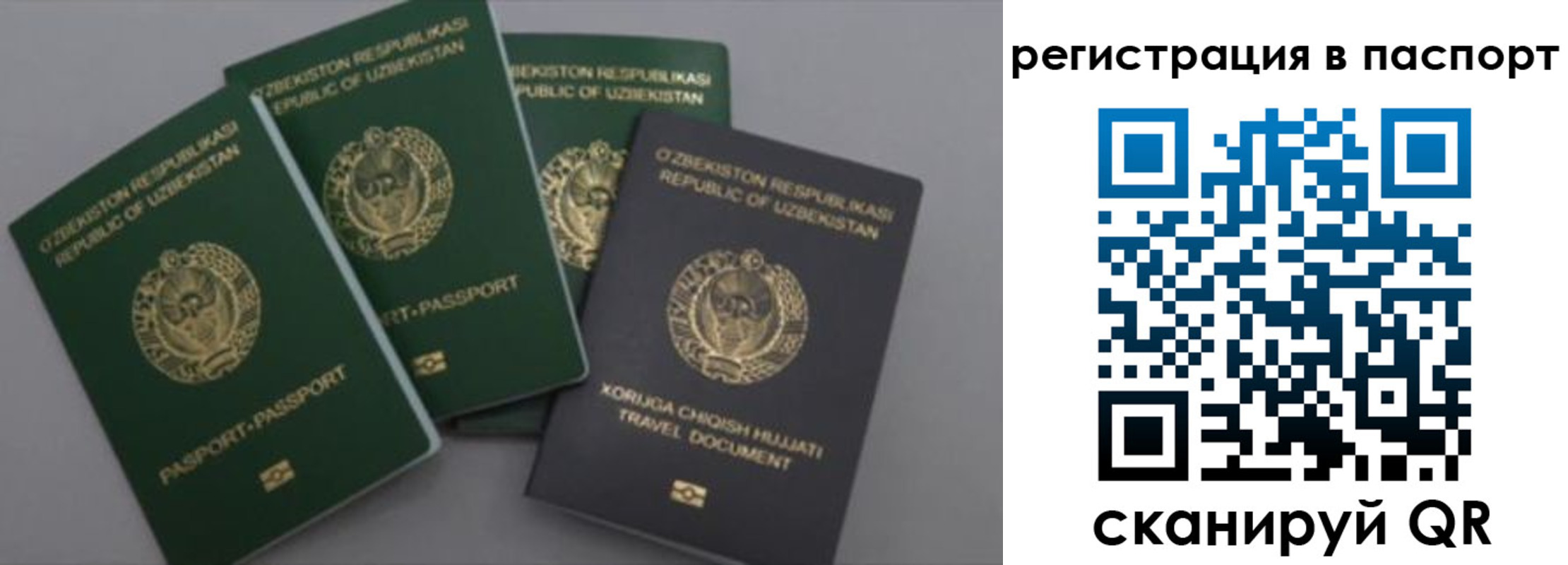 прописка от собственника в Чечне